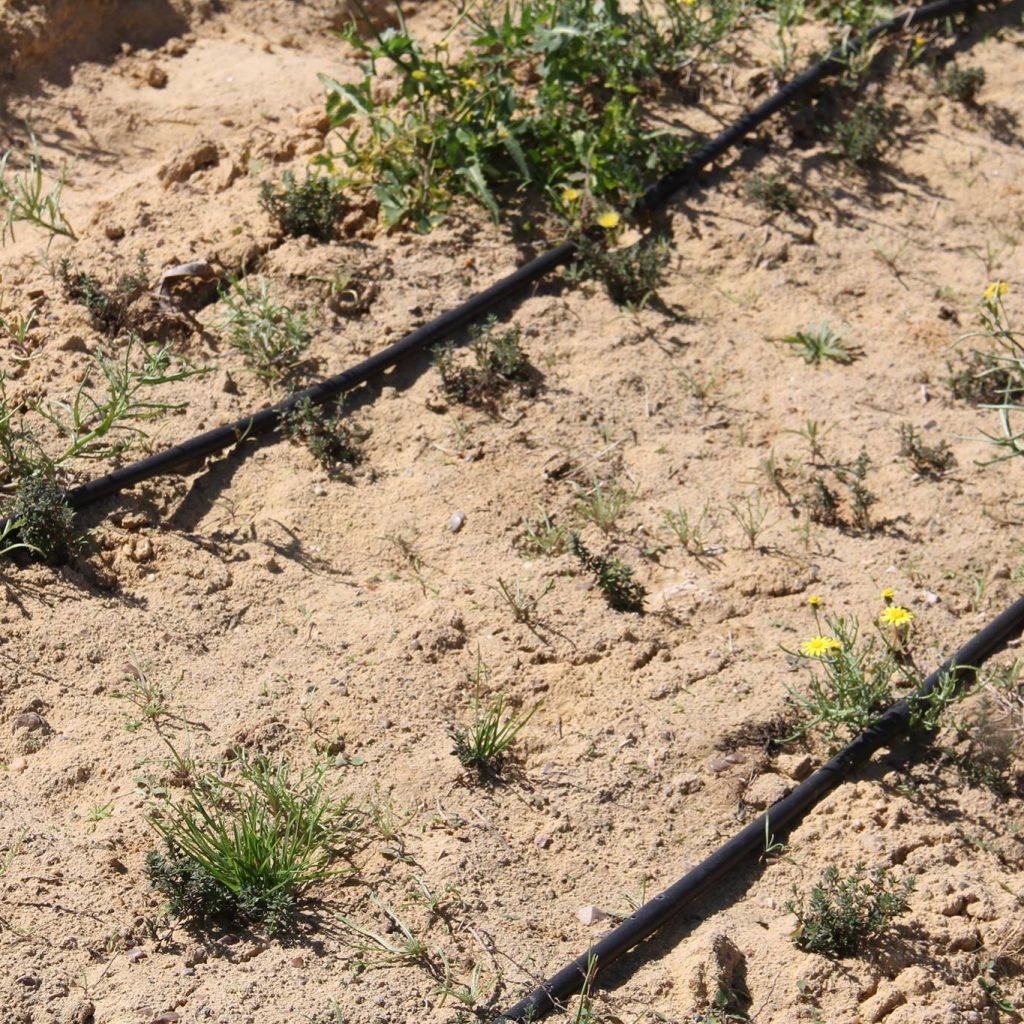 17547517_194975840994813_811790254_o