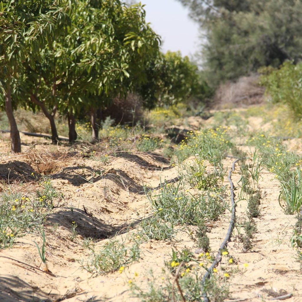 17548823_194976564328074_1908997744_o